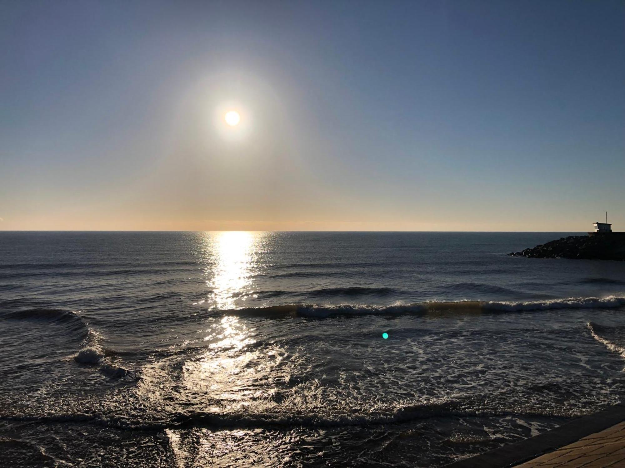 Sunny View Lejlighed Dawlish Eksteriør billede